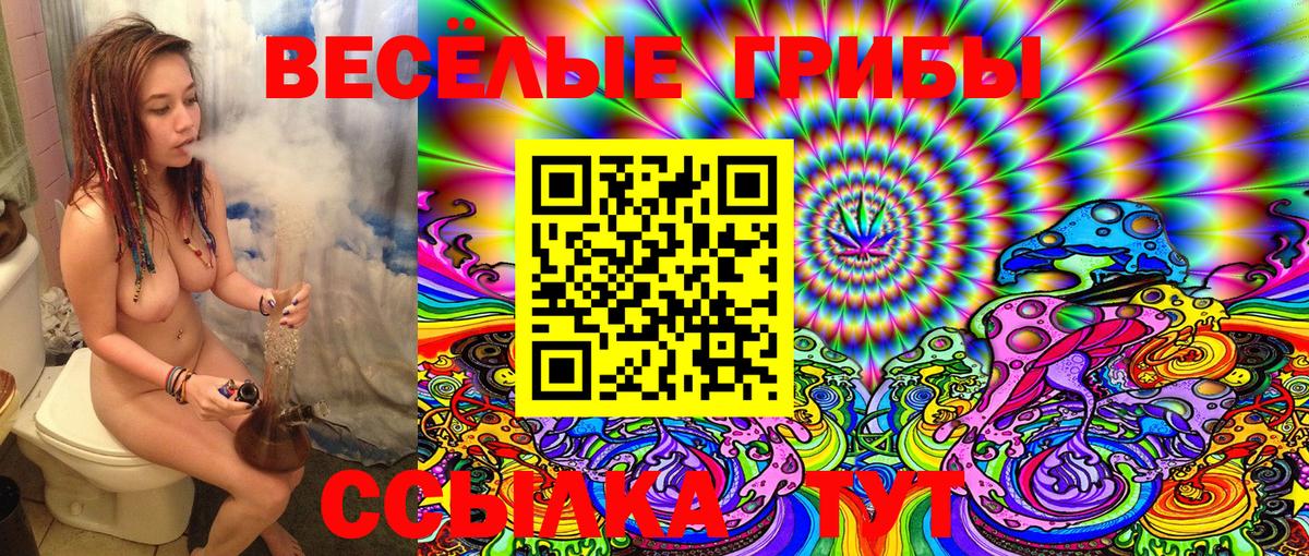 Галлюциногенные грибы Psilocybine cubensis  Псилоцибиновые грибы Psilocybine cubensis  Вход с VPN  Калининград 